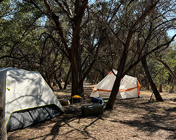 Tents under trees